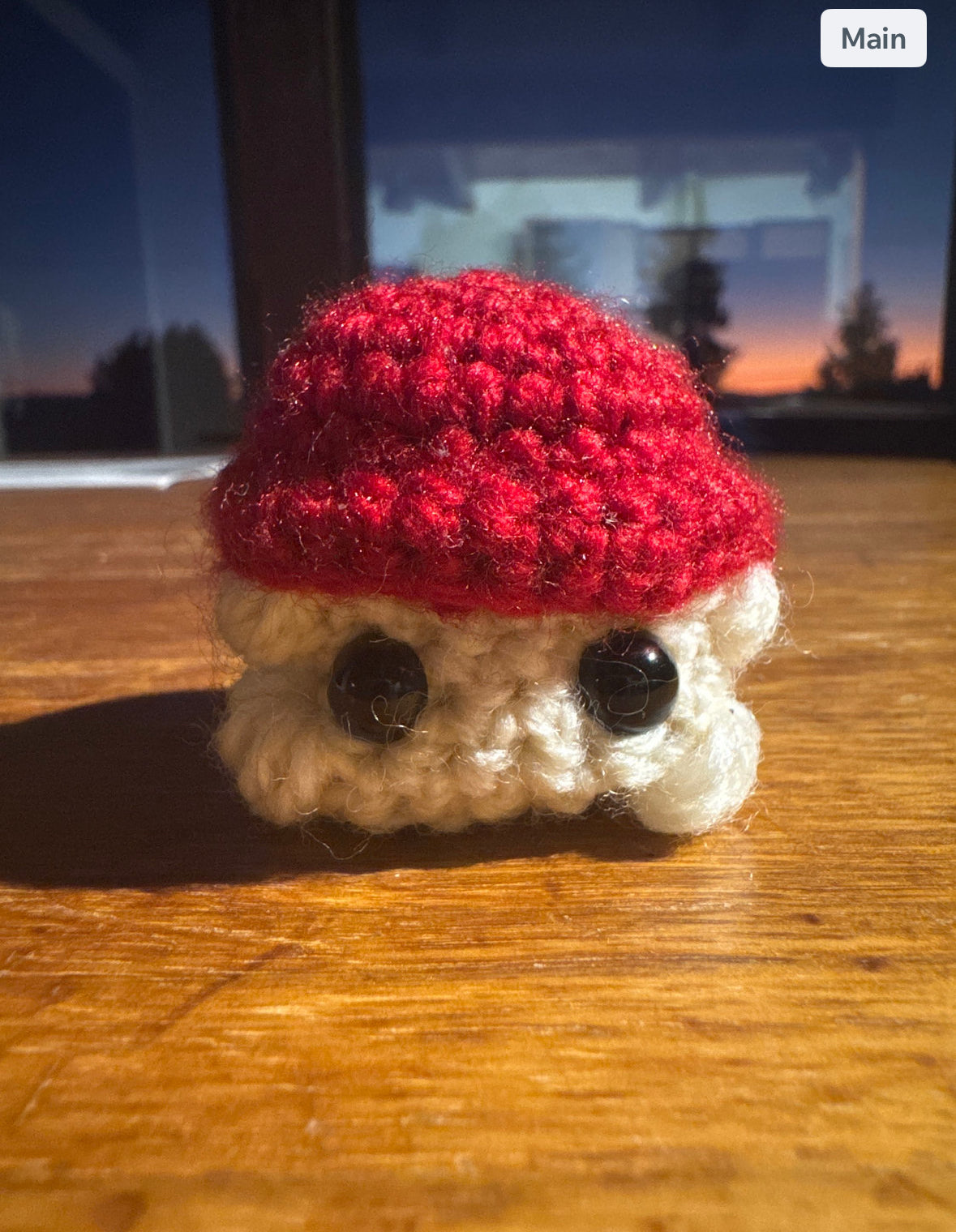 mushroom buddy